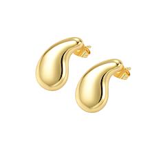 Stately Steel Stainless Steel Water Drop Earrings