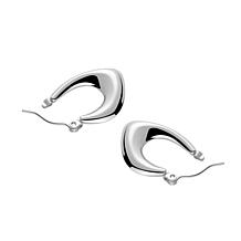 Stately Steel Stainless Steel Water Drop Earrings
