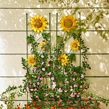 Sunflower Garden Trellis and Stake