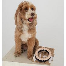 SuperChew Rings Aggressive Chew Toy 2-pack