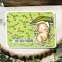 The Stamps of Life moregardenbunny2stamp Dies
