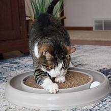 Turbo Eco Scratcher Cat Toy - Grey