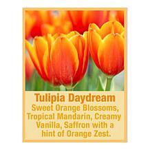 Tweak'd by Nature Supersize Tulipia Daydream Lathering Hair Treatment