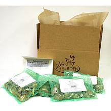 Van Zyverden Caladiums Collection 4 Varieties - 12 Bulbs