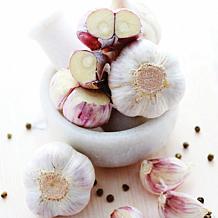 Van Zyverden Garlic Purple Creole - 3 Cloves