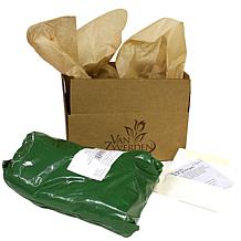 Van Zyverden GMO Free Asparagus Mary Washington Set of 3 Roots