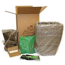 Van Zyverden Hawaiian Punch Elephant Ear Patio Kit with Rattan Planter