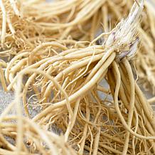 Van Zyverden Hosta Minuteman Set of 3 Roots