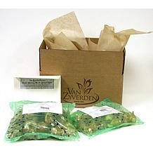 Van Zyverden Lilies Day & Night Collection Set of 12 Bulbs