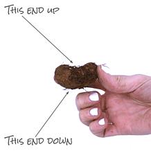 Van Zyverden Patio Begonia Golden Balcony w/ Red Planter, Soil & Pot