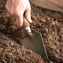 Van Zyverden Patio First Romance Lilies Kit