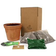 Van Zyverden Patio Gardening Double Knock Out Rose Kit