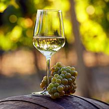 Van Zyverden Premium Grafted Bareroot Grape Vine Chardonnay