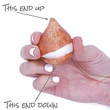 Van Zyverden Tulips Queen of Night Set of 5 Bulbs