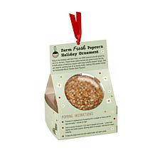 Wabash Valley Farms Holiday Popcorn and Seasoning Care Package