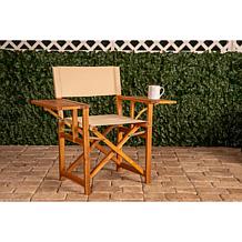 Walker Outdoor Folding Directors Chair