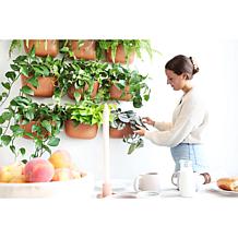 WallyGrow Eco Mountable Wall Planters - 3-pack