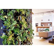WallyGrow Eco Mountable Wall Planters - 3-pack