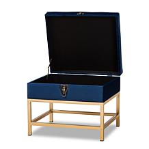 Wholesale Interiors Aliana Velvet Upholstered Small Storage Ottoman