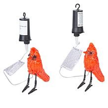Winter Lane Cardinal Clips with Lights - 2-pack