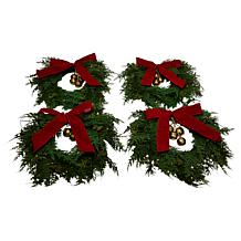 Winter Lane Set of 4 14" Lit Wreaths