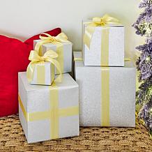 Winter Lane Silver Glitter Gift Boxes w/Gold Ribbon 5-Piece Set