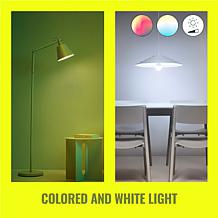 WiZ 2-pack A19 60W LED Full Color Smart Bulbs with Remote