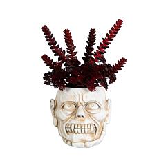 10-in Succulent Plant in Zombie by Nearly Natural