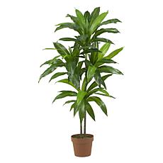 4 Ft. Dracaena Real Touch