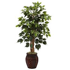 44 in. Ficus Tree with Decorative Planter