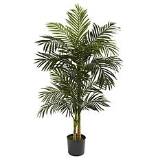 5 Ft. Golden Cane Palm Silk Tree