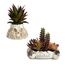 5-in Succulent Garden in Haunted - Set of 2 by Nearly Natural