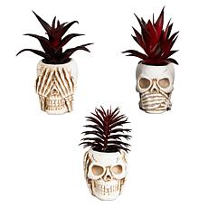 6-in See No Evil Skull Decor - Set of 3 by Nearly Natural