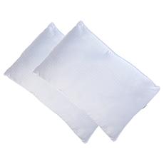 "As Is" Concierge Collection 100% Polyester Standard Pillow 2-pack