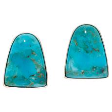 "As Is" Jay King Heavenly Well Lake Turquoise Stud Earrings