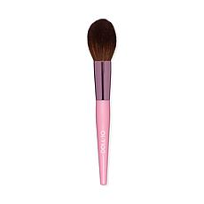 Doll 10 Blurring Powder Brush