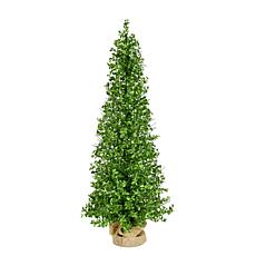 Fraser Hill Farm 4-Ft. Boxwood Porch Tree in Burlap Bag