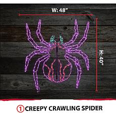 Halloween Giant Outdoor LED Lights  Creepy Crawling Spider (48 x 40...