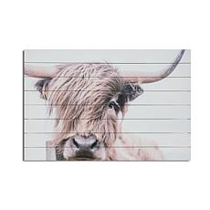 Highland Cow 24x36 Print on Wood