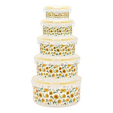 Improvements 5-piece Nesting Storage Bowls with Locking Lids