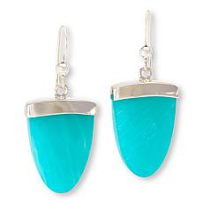 Jay King Amazonite Sterling Silver Triangular Drop Earrings