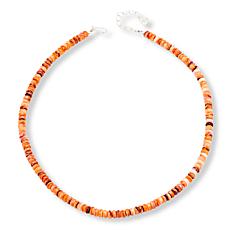 Jay King Mexican Lion's Paw Shell Bead 24" Necklace