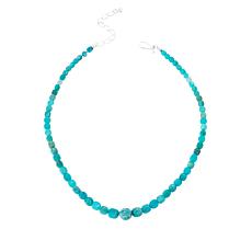 Jay King Sterling Silver Amazonite Graduated Bead Necklace