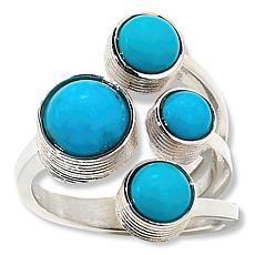 Jay King Sterling Silver Campitos Turquoise Ring