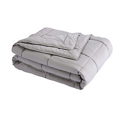 Lotus Home Stayclean Bacteria Reducing Down Alternative Blanket - King