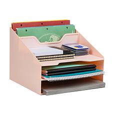 Mind Reader Plastic Desktop Organizer Vertical File Holder Pink