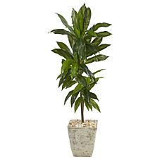 Nearly Natural 4’ Dracaena Artificial Plant White Planter (Real Touch)