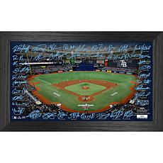 Officially Licensed MLB/MLBPA Tampa Bay Rays 2024 Signature Field