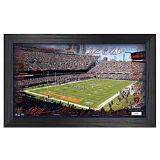 Officially Licensed NFL 20" x 12" Signature Frame