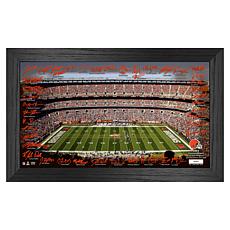 Officially Licensed NFL Commemorative Frame